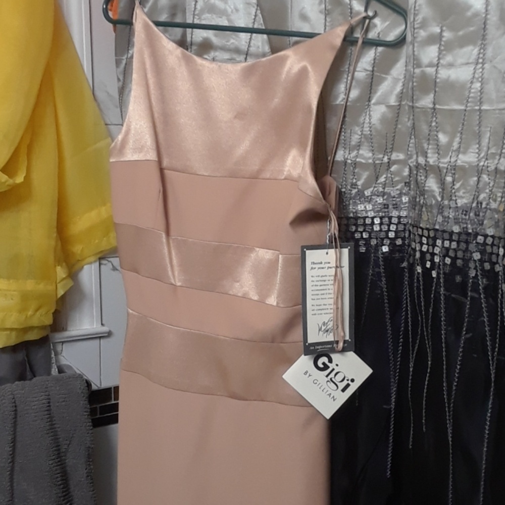 NWT Beautiful Gown